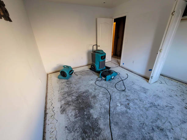 Best Flood restoration services  in Gladewater, TX
