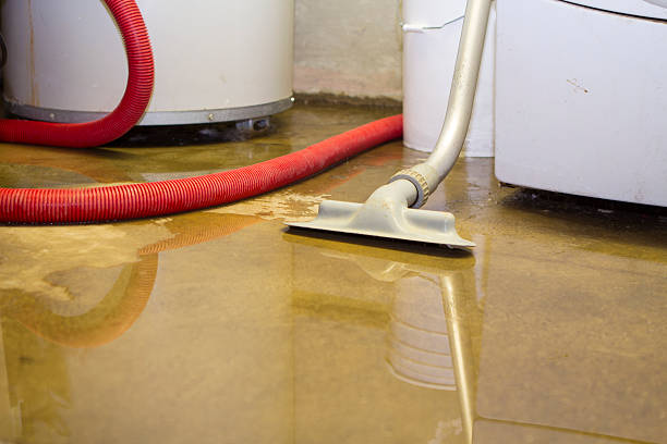 Best Flooded house restoration  in Gladewater, TX