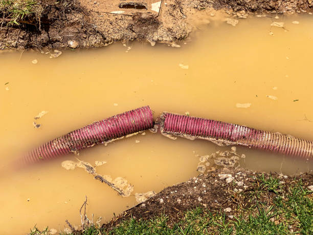 Best Carpet water damage restoration  in Gladewater, TX