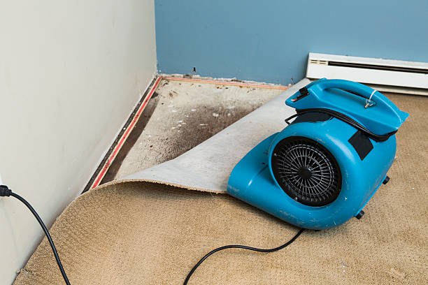 Best Water damage mitigation services  in Gladewater, TX